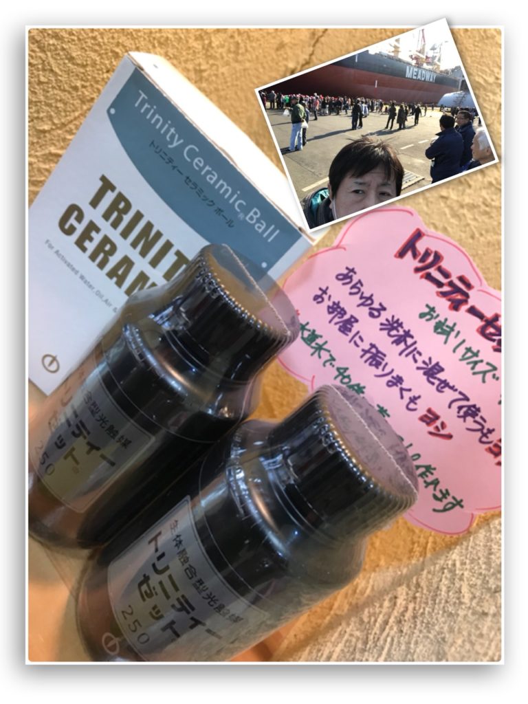 トリニティ　セラミックボール　200g 環境保全研究所 トリニティ セラミックボール 200g 環境保全研究所